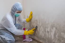 Best Emergency Mold Remediation  in Moss Beach, CA